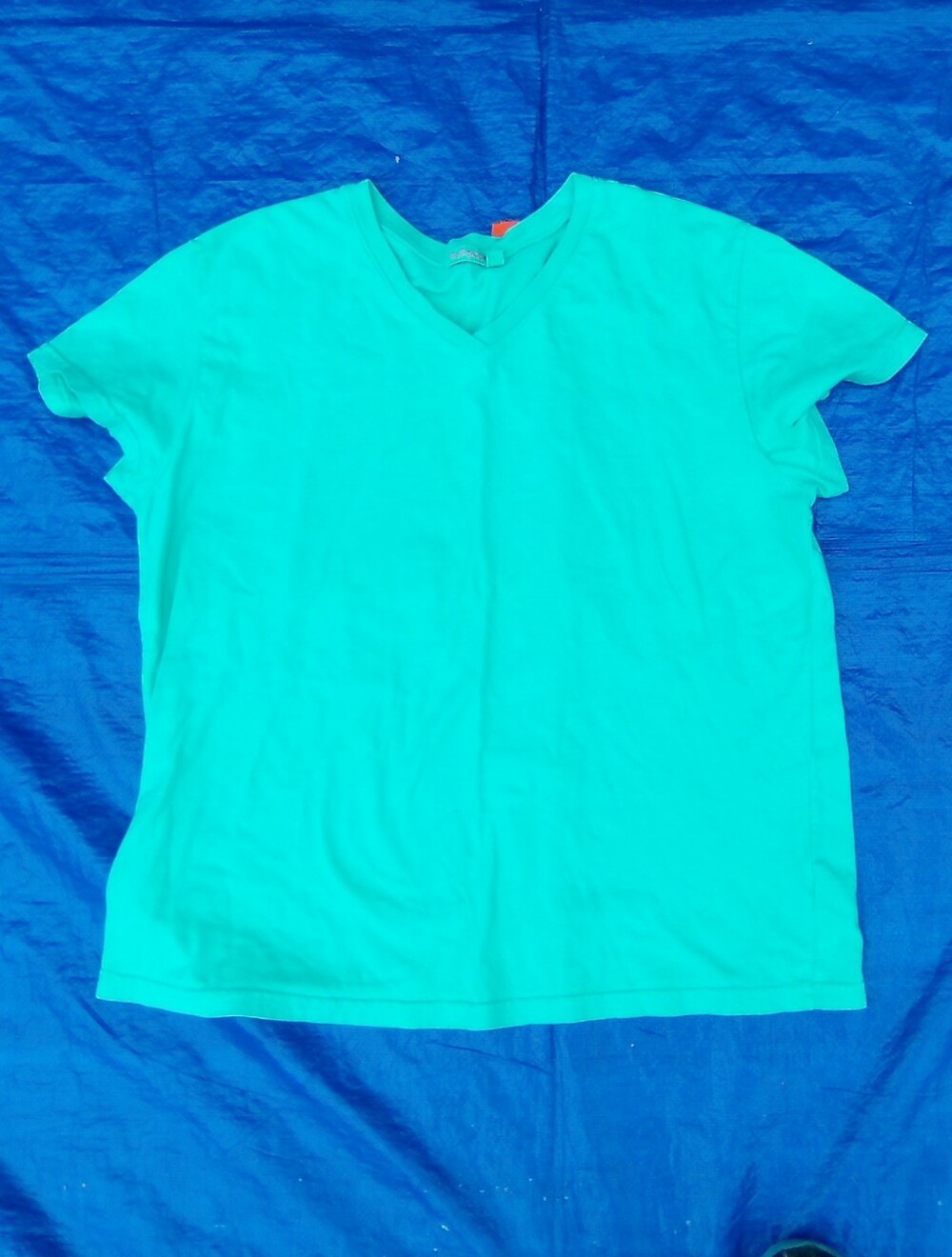 Fresh produce Solid Aqua V-Neck Tee